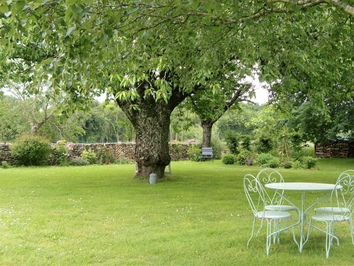Du Cote De L'Ombriere Bed & Breakfast Geay  Dış mekan fotoğraf